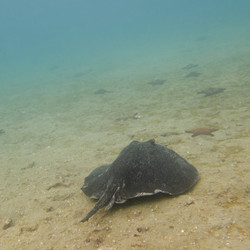 Similar image 8038749