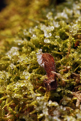 Similar image 8038771