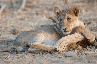 Similar image 8038772