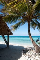 Similar image 8038774