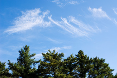 Similar image 8038778