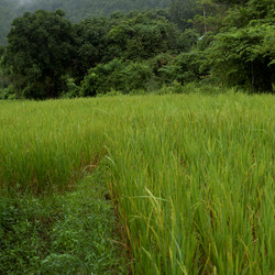 Similar image 8038780