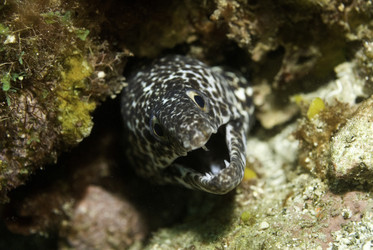 Similar image 8038781