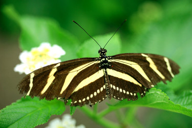 Similar image 8038782