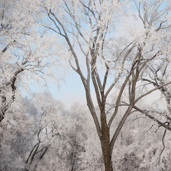 Similar image 8038784