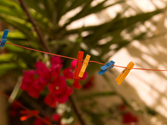 Similar image 8038787