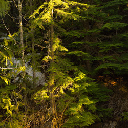 Similar image 8038805