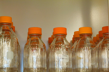 Similar image 8038811