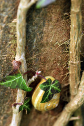 Similar image 8038814