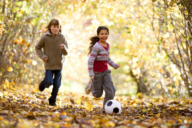 Similar image 8038816