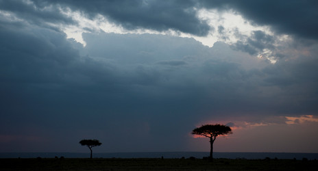 Similar image 8038819