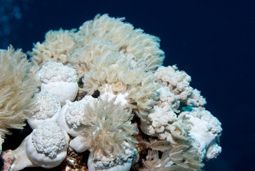 Similar image 8038830