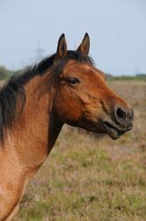 Similar image 8038837