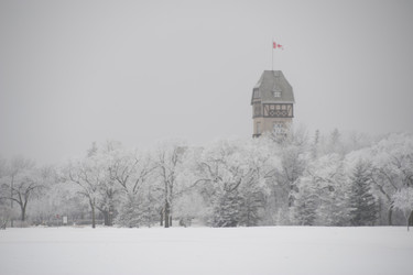 Similar image 8038843