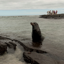 Similar image 8038853