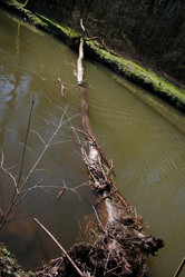 Similar image 8038858