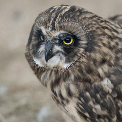 Similar image 8038860