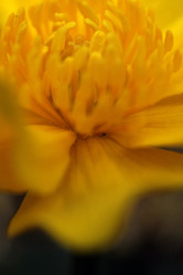 Similar image 8038862