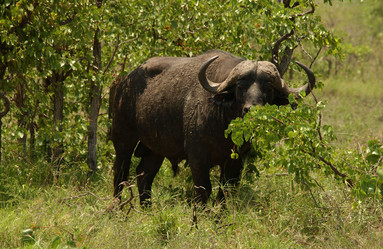 Similar image 8038863