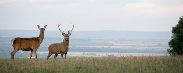 Similar image 8038869