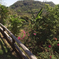 Similar image 8038871