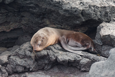 Similar image 8038872