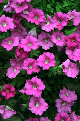 Similar image 8038875