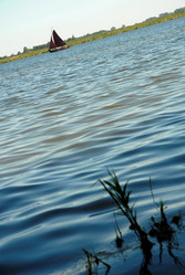 Similar image 8038878