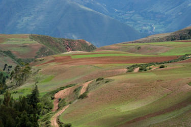 Similar image 8038882