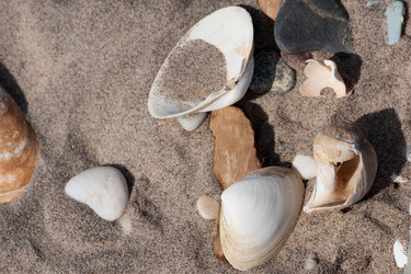 Similar image 8038888