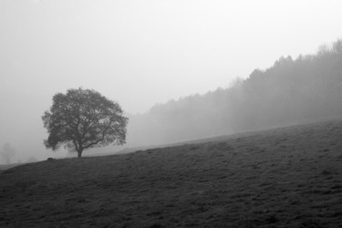 Similar image 8038890