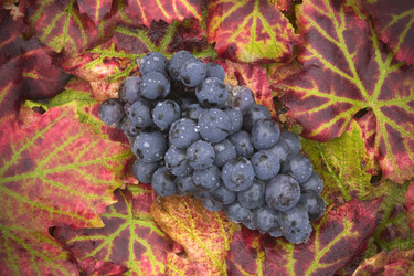 Similar image 8038891