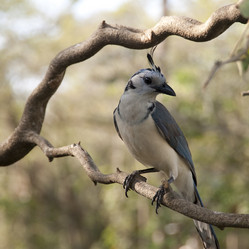 Similar image 8038893