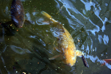 Similar image 8038901