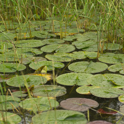 Similar image 8038957