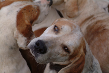 Similar image 8038959