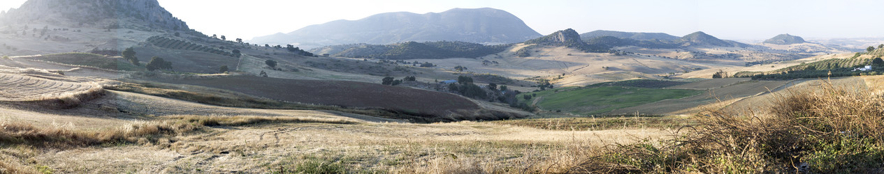 Similar image 8038965