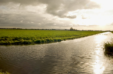 Similar image 8038978