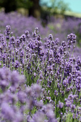 Similar image 8038982