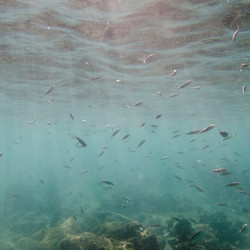 Similar image 8038987