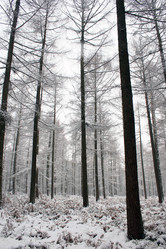 Similar image 8039000