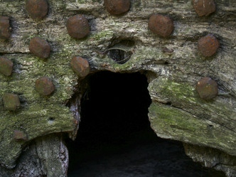 Similar image 8039004