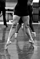 Similar image 8039006