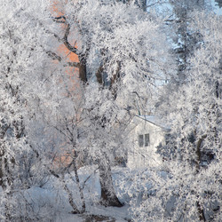 Similar image 8039007