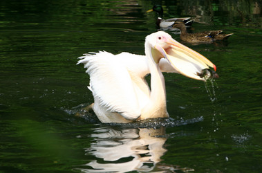 Similar image 8039008