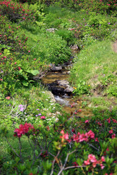 Similar image 8039021