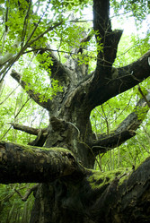 Similar image 8039023