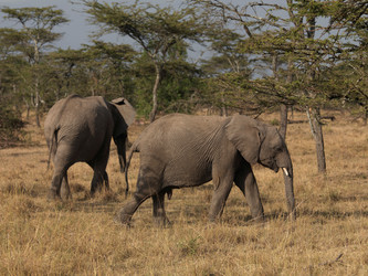 Similar image 8039026