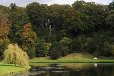 Similar image 8039033