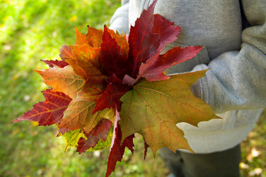 Similar image 8039036